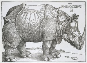 Neushoorn Rhinocerus (cím a tárgyon) alkotó: Albrecht Dürer