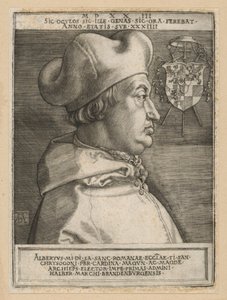 Albrecht brandenburgi bíboros portréja