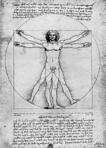 Az emberi alak arányai, c1492, 1936 alkotó: Albrecht Dürer