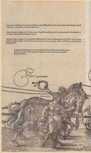  alkotó: Albrecht Dürer