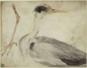  alkotó: Albrecht Dürer