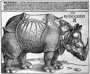 Orrszarvú, I. Maximilianusnak a lisszaboni király által adott lenyomata, 1515, 1936 alkotó: Albrecht Dürer