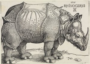  alkotó: Albrecht Dürer