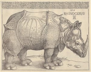 Orrszarvú alkotó: Albrecht Dürer
