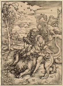  alkotó: Albrecht Dürer