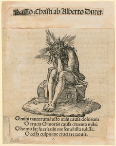  alkotó: Albrecht Dürer