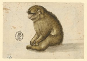 alkotó: Albrecht Dürer
