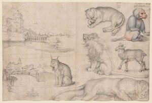  alkotó: Albrecht Dürer