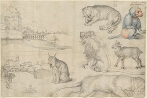 Vázlatok az állatokról és a tájakról, 1521. alkotó: Albrecht Dürer