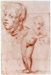 Tanulmányok, 1913. alkotó: Albrecht Dürer