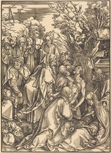  alkotó: Albrecht Dürer