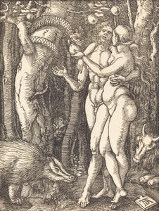 Az ember bukása, valószínűleg c. 15091510. alkotó: Albrecht Dürer