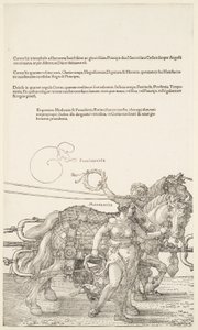  alkotó: Albrecht Dürer