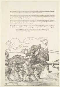  alkotó: Albrecht Dürer