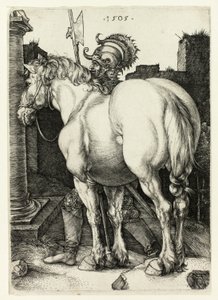 A nagy ló alkotó: Albrecht Dürer