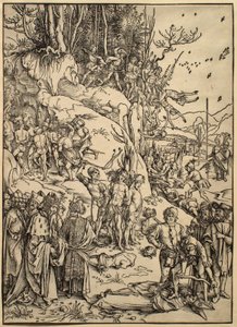  alkotó: Albrecht Dürer