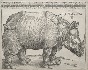 Az orrszarvú alkotó: Albrecht Dürer