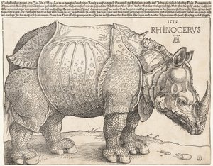  alkotó: Albrecht Dürer