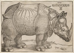  alkotó: Albrecht Dürer