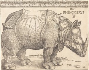 Az orrszarvú, 1515. alkotó: Albrecht Dürer