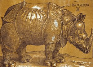 Az orrszarvú, 1515. alkotó: Albrecht Dürer