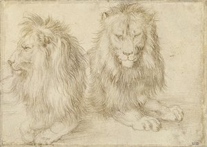 Két ülő oroszlán alkotó: Albrecht Dürer
