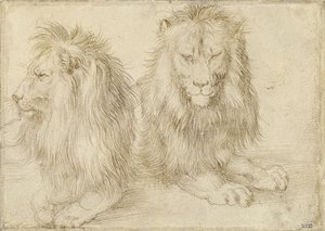 Két ülő oroszlán, 1521 alkotó: Albrecht Dürer