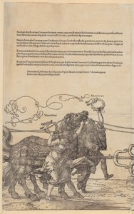  alkotó: Albrecht Dürer