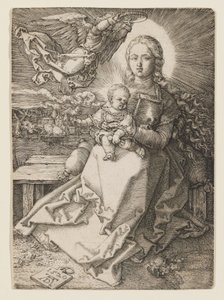  alkotó: Albrecht Dürer
