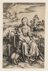 alkotó: Albrecht Dürer
