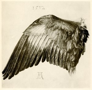 Kék görgő szárnya alkotó: Albrecht Dürer