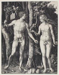 Ádám és Éva alkotó: Albrecht Dürer