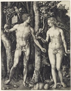 Ádám és Éva alkotó: Albrecht Dürer