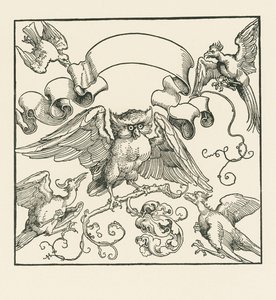 Egy bagoly, amelyet négy másik madár támad meg, 1515 körül (fametszet) alkotó: Albrecht Dürer or Duerer