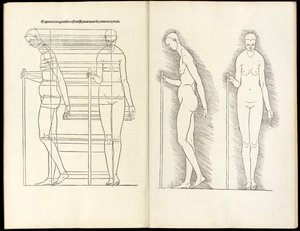 Nő bottal, anatómiai fametszet innen származó négy emberi arányú könyv, 1528 alkotó: Albrecht Dürer