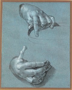 Kéz - Két tanulmány (krétarajz kék papírra ) alkotó: Albrecht Dürer or Duerer