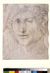 Egy fiatalember feje, 1503 alkotó: Albrecht Dürer