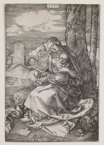 Madonna a körtével alkotó: Albrecht Dürer or Duerer