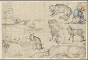 Vázlatok az állatokról és a tájakról, 1521 alkotó: Albrecht Dürer