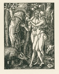 Az ember bukása, 1510 körül (fametszet) alkotó: Albrecht Dürer or Duerer