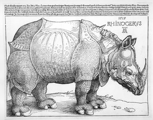 Az orrszarvú, 1515 alkotó: Albrecht Dürer