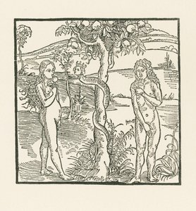 A bukás. Illusztráció a " Der Ritter von Turn " -hoz, 1493-93 körül (fametszet). alkotó: Albrecht Dürer or Duerer