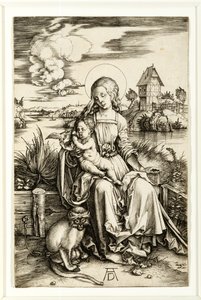 Szűz és gyermeke majommal alkotó: Albrecht Dürer