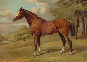 „Stilton A Hunter”, 1879. alkotó: Aldfred Sheldon Williams