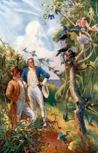 Cook kapitány a Botany-öbölben (színes litográfia) alkotó: Alec Ball