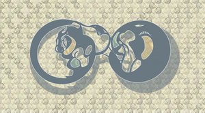 Absztrakt: Feline Infinity alkotó: Alejandra Winkhaus