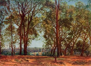 Az Aricci parkban, 1830-as évek, 1965.