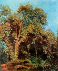 Fa a parkban, 19. század közepe, 1965.