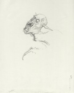 Legendás lény: Chupacabra, dél-amerikai vámpír, Alessandro Lonati rajza alkotó: Alessandro Lonati
