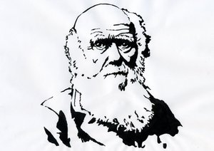 Charles Darwin portréja - Charles Darwin angol természettudós portréja (1809-1882) Illusztráció alkotó: Alessandro Lonati